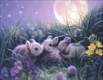 (image for) Moon Babies